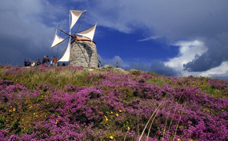 Casa De Campo Sossego Da Lata Fafe Luaran gambar